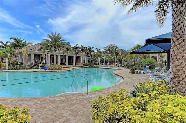 view of swimming pool featuring a patio area