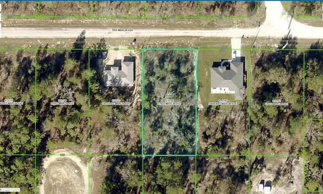 Red Marlin Ave, Brooksville FL, 34614 land for sale