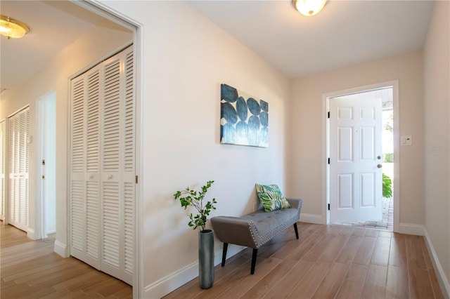 foyer entrance featuring light hardwood / wood-style flooring