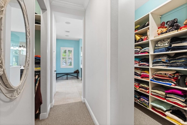 walk in closet with light colored carpet