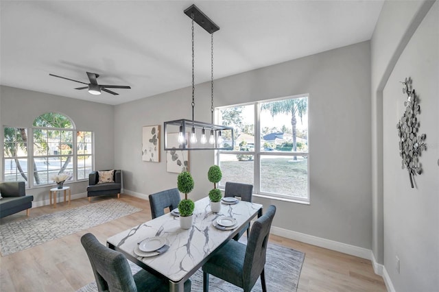 14146 Cattle Egret Pl, Bradenton, FL 34202 - dining room with plenty of natural light, ceiling fan with notable chandelier, and light hardwood / wood-style floors