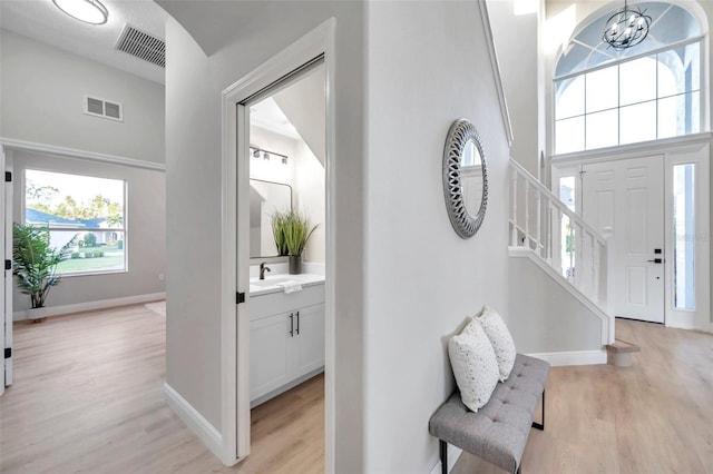 14146 Cattle Egret Pl, Bradenton, FL 34202 - entryway with light wood-type flooring, a chandelier, and sink