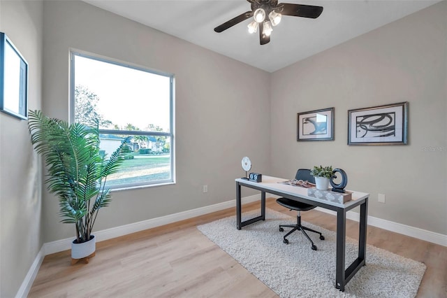 14146 Cattle Egret Pl, Bradenton, FL 34202 - office featuring ceiling fan and light hardwood / wood-style floors