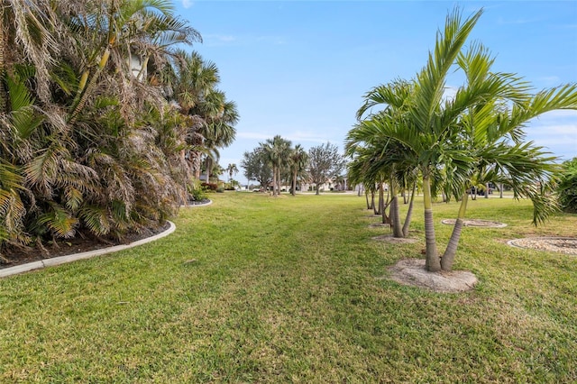 3607 Darin Dr, Punta Gorda, FL 33950 - photo 89