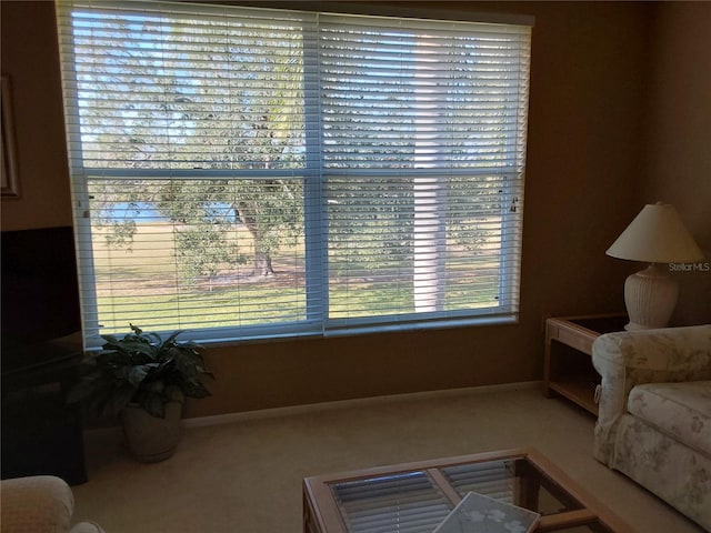 living area featuring carpet flooring