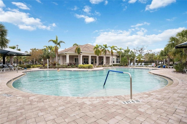 view of swimming pool with a patio