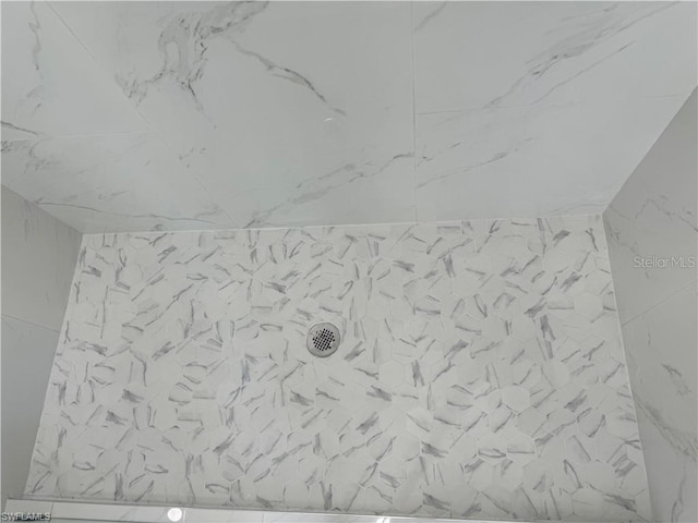 interior details featuring a tile shower