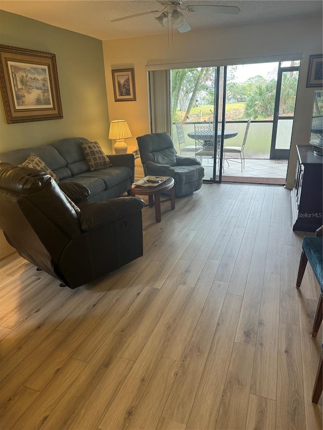 living room featuring ceiling fan and light hardwood / wood-style flooring