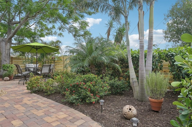 view of yard featuring a patio area