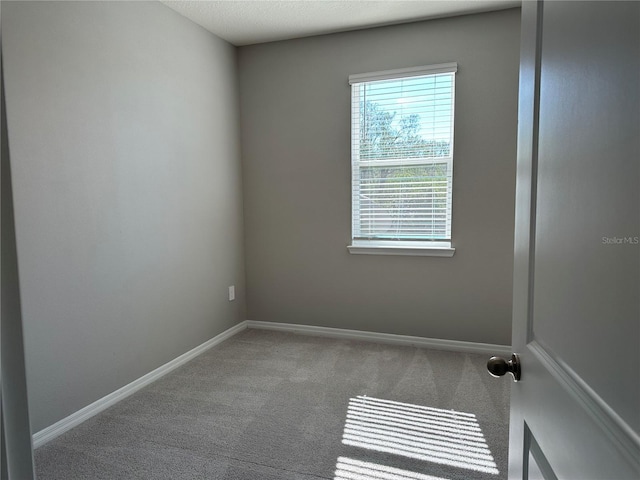 empty room featuring carpet