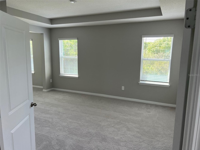 carpeted spare room with plenty of natural light, a textured ceiling, and a raised ceiling