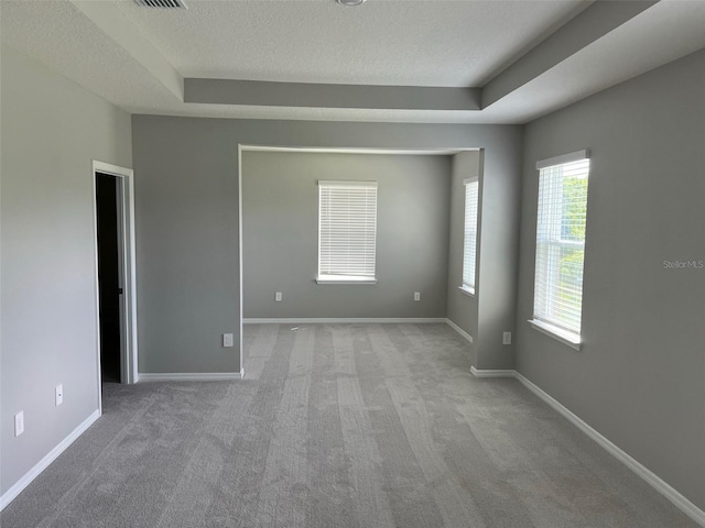 empty room with a textured ceiling, light colored carpet, and a raised ceiling