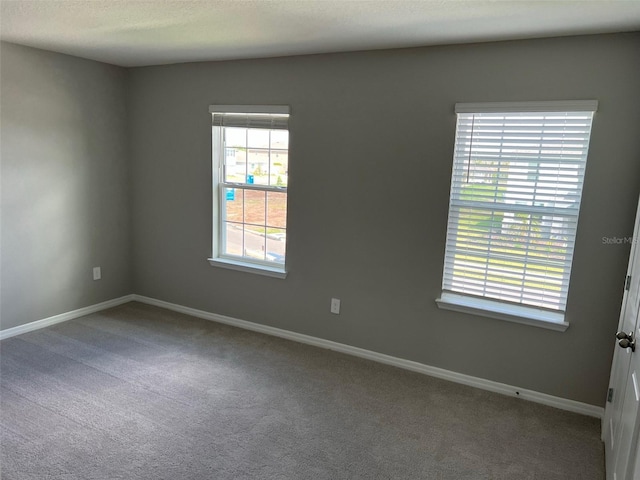 unfurnished room featuring carpet floors