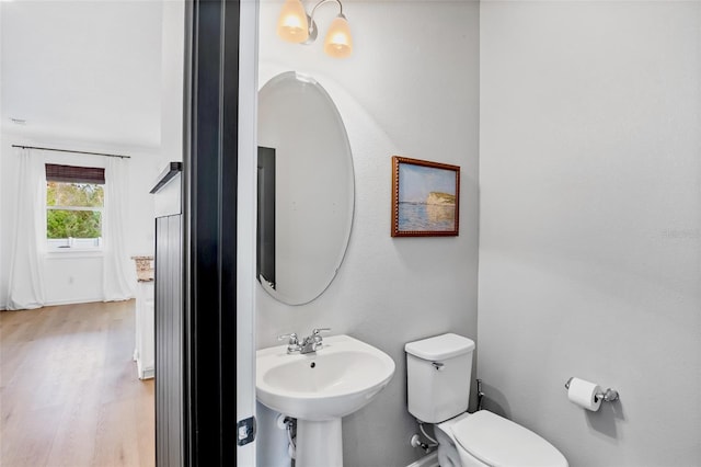 bathroom featuring toilet, wood-type flooring, and sink