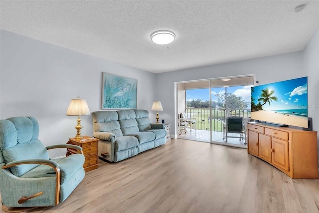 living room with a textured ceiling and light hardwood / wood-style floors