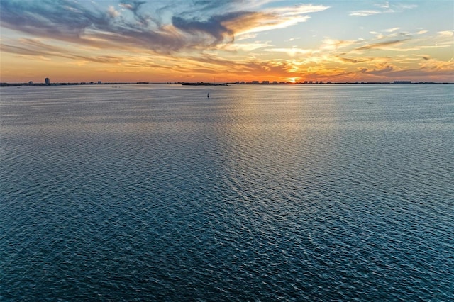 property view of water