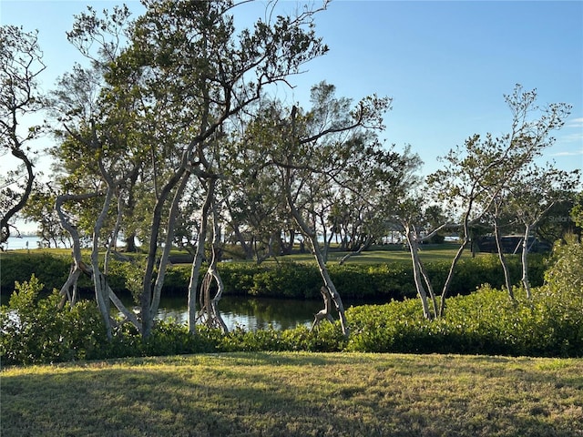 view of water feature