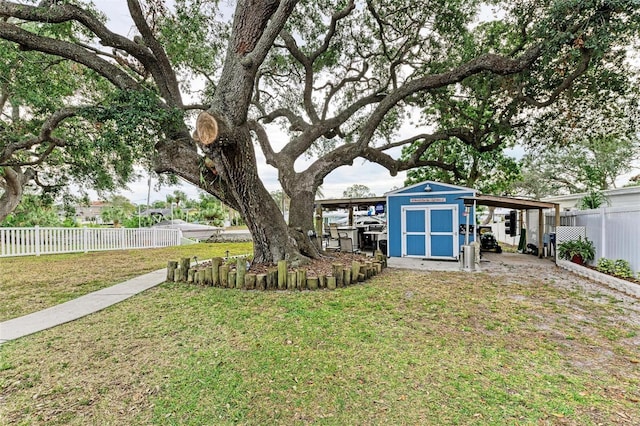 view of yard with a storage shed