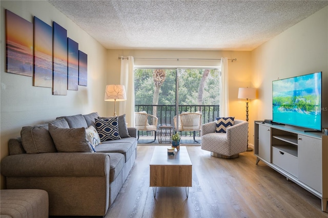 living room featuring a textured ceiling and wood-type flooring