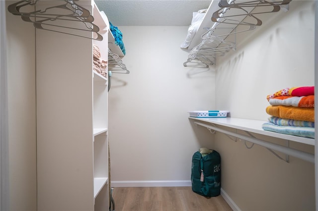 spacious closet with hardwood / wood-style flooring