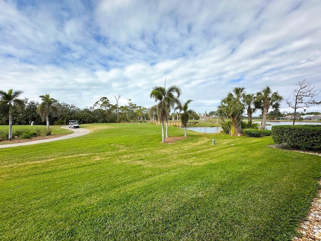 view of yard with a water view