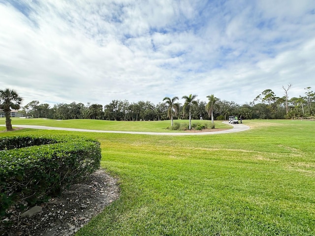 view of community featuring a yard