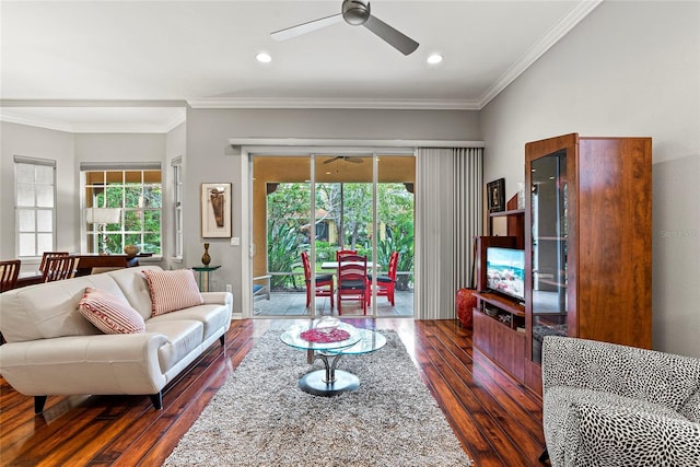 living room featuring ceiling fan, dark hardwood / wood-style flooring, and crown molding