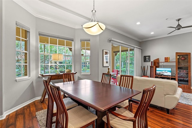 dining room with ceiling fan, dark wood-type flooring, and crown molding