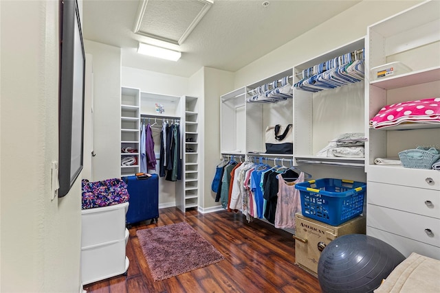 spacious closet with dark wood-type flooring