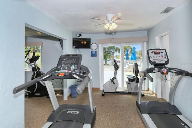 workout room featuring ceiling fan and a wealth of natural light