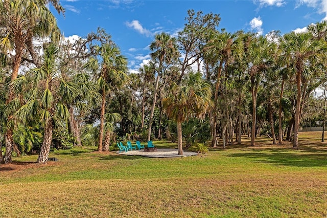 view of yard featuring a patio area