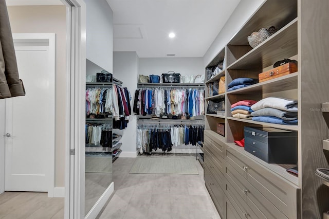 view of spacious closet