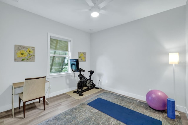 workout room with ceiling fan and light wood-type flooring