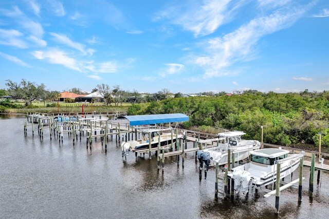 dock area featuring a water view