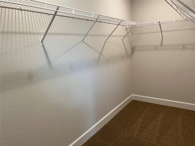 2648 Averland Loop, North Port, FL 34287 - spacious closet featuring carpet