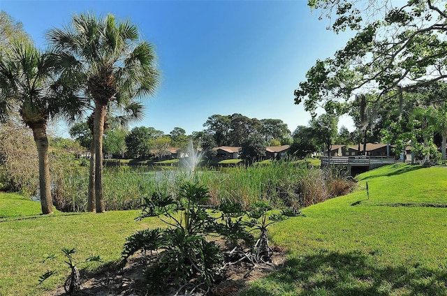 view of yard featuring a water view