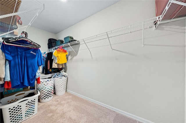 spacious closet with carpet flooring