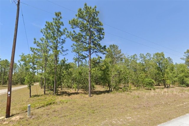 0 SE 133rd Ave, Dunnellon FL, 34431 land for sale