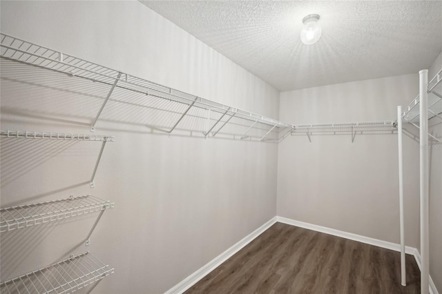 walk in closet with dark hardwood / wood-style flooring