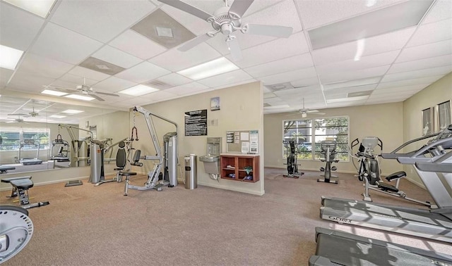 workout area featuring ceiling fan, a paneled ceiling, and a wealth of natural light