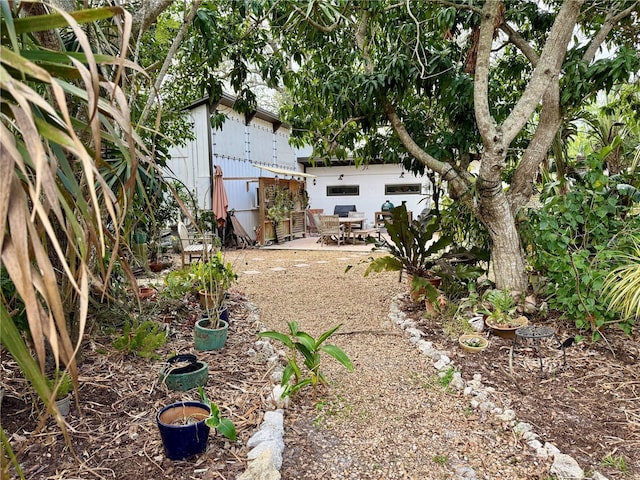 view of yard with a patio area