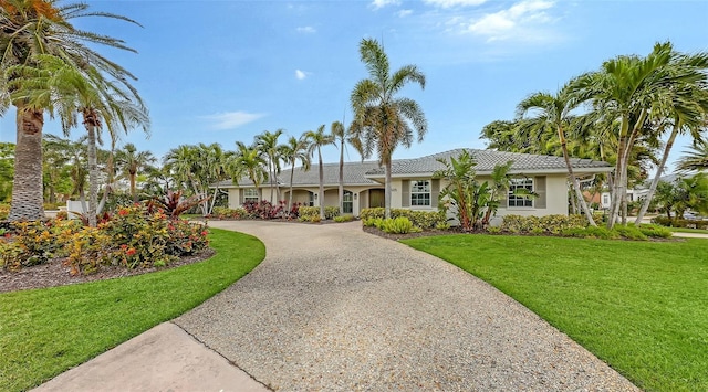 view of front facade with a front lawn