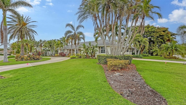 view of front of home featuring a front lawn