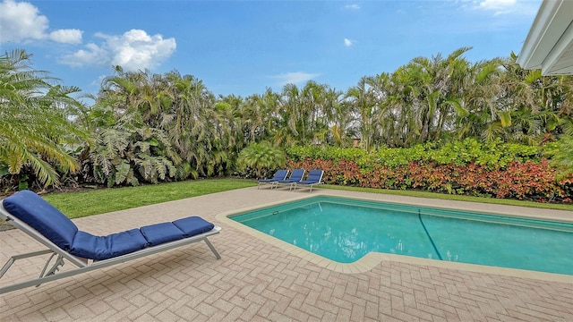 view of swimming pool featuring a patio