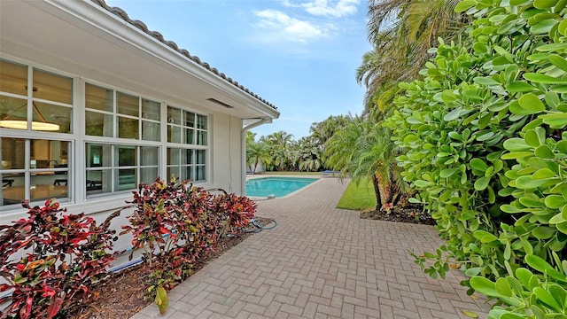 view of pool featuring a patio