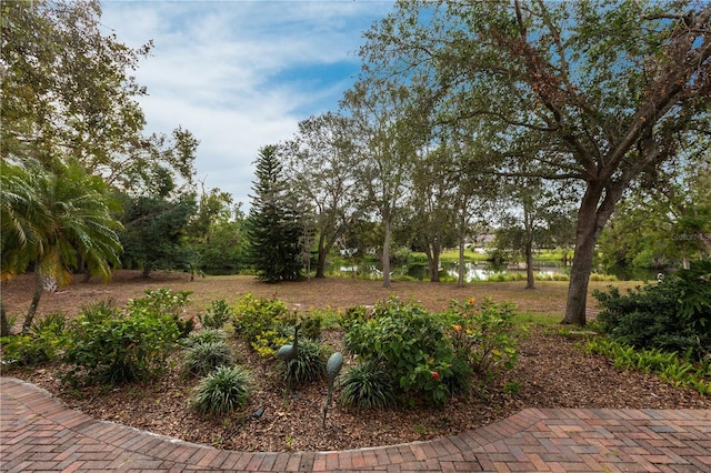 view of yard with a water view