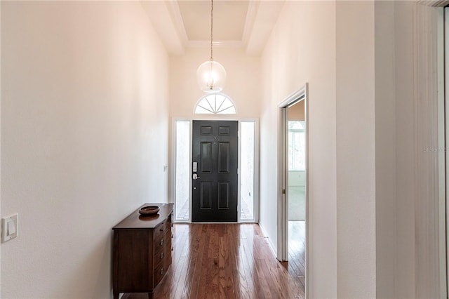 foyer entrance with wood-type flooring, a raised ceiling, and a high ceiling