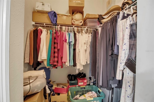 view of spacious closet