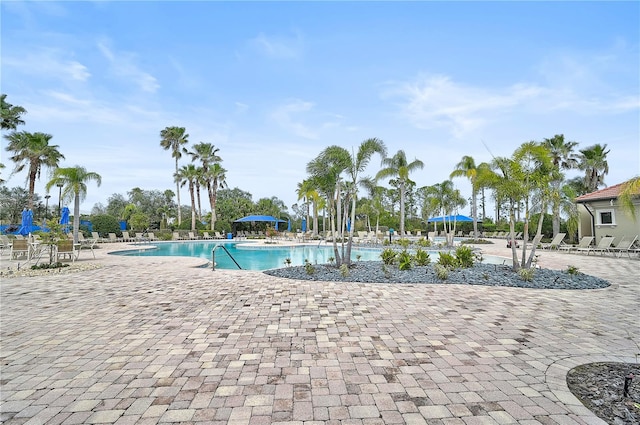 view of swimming pool with a patio