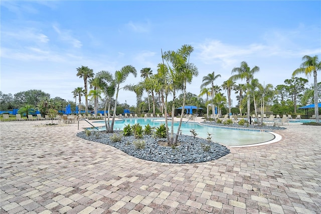 view of swimming pool featuring a patio